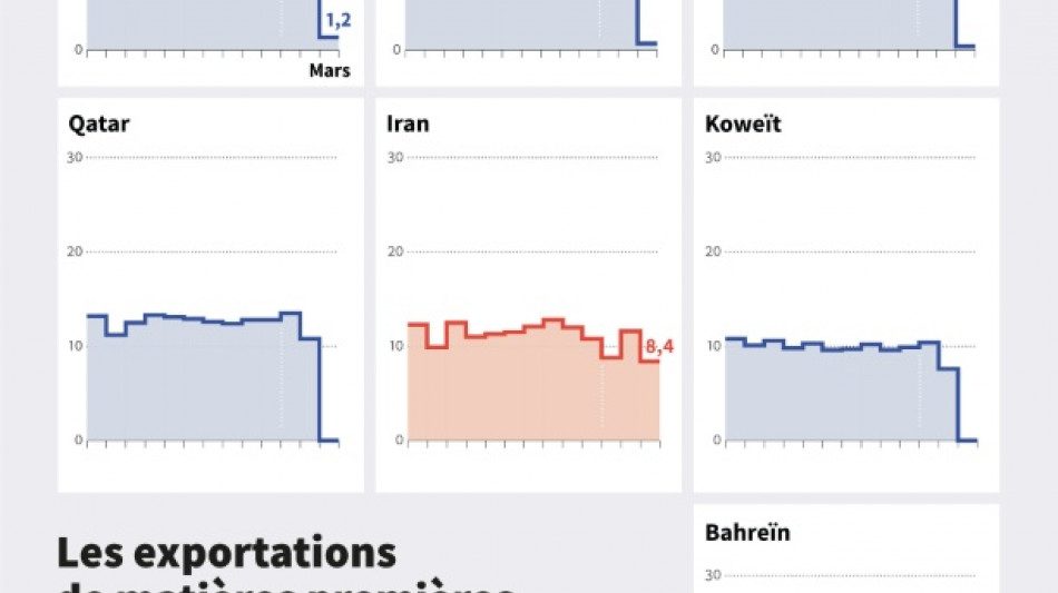 Effondrement des exportations de mati&egrave;res premi&egrave;res via Ormuz, sauf venant d'Iran