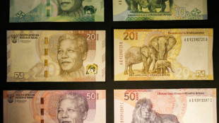 S&uuml;dafrikanische Banknoten zeigen neben Mandela-Portr&auml;t nun auch Tierbabys