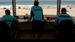 Un tibur&oacute;n ataca a una mujer en la bah&iacute;a de S&iacute;dney