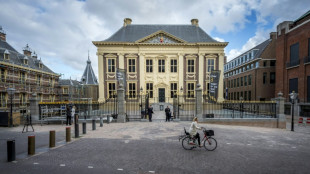 Una exposici&oacute;n en Pa&iacute;ses Bajos cuenta la historia de obras saquedas