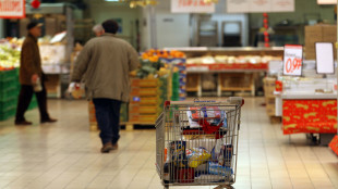 Istat, a giugno vendite crescono, +0,6% in valore su mese