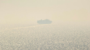 Bulgaria searches for missing crew after drones hit two more ships in Black Sea