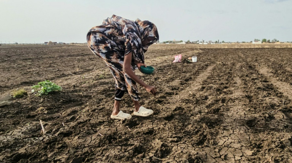 Au Soudan, le ph&eacute;nom&egrave;ne El Ni&ntilde;o ass&egrave;che les rives du Nil et menace les cultures