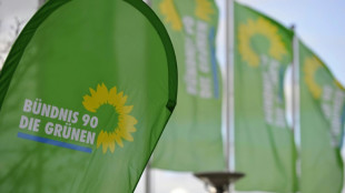 Gr&uuml;ne wollen auf Zukunftskongress neu Schwung holen