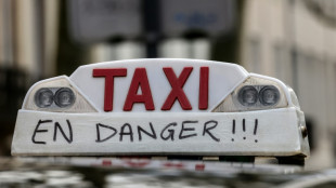 Les taxis &agrave; leur tour mobilis&eacute;s, op&eacute;rations escargot dans toute la France