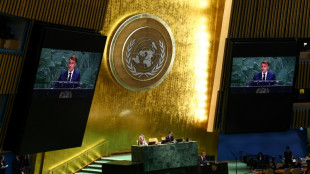 França e vários países reconhecem 'Estado da Palestina' no púlpito da ONU