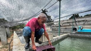 La acuapon&iacute;a, una alternativa ante la escasez de pescado en Cuba