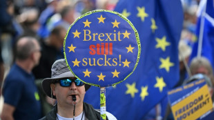Pro-EU supporters march for Britain to rejoin bloc 