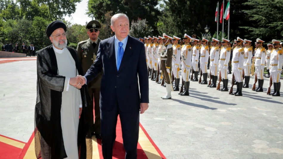 Vladimir Poutine &agrave; T&eacute;h&eacute;ran pour un sommet Iran-Turquie-Russie sur la Syrie