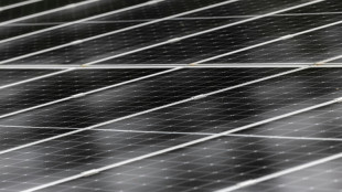 Chile estrena su mayor planta solar con casi 883.000 paneles