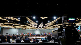 Trump-Boykott und Ukraine-Plan prägen Auftakt des G20-Gipfels in Südafrika