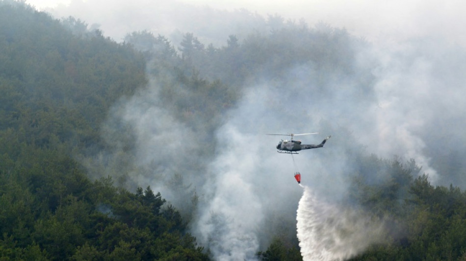 Heftiger Brand in einem der gr&ouml;&szlig;ten Nadelw&auml;lder im Libanon ausgebrochen