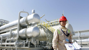 Media, 'raffinerie cinesi sospendono export di carburanti a ottobre'