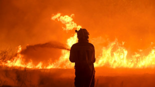 Muere un voluntario que luchaba contra un incendio en España