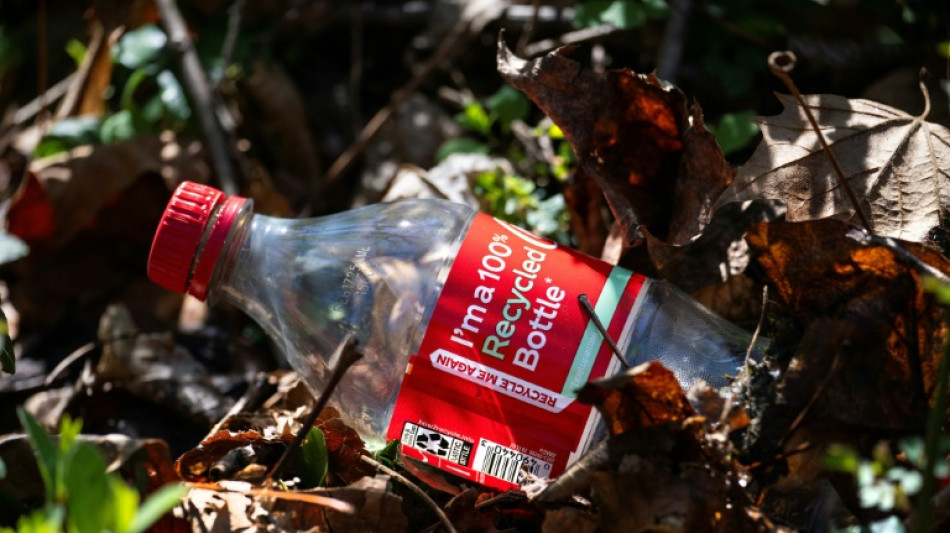 Más de 600.000 toneladas de residuos plásticos de Coca-Cola en océanos en 2030, según estudio