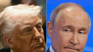 Trump e Putin se reunirão nos próximos dias, anuncia Kremlin

