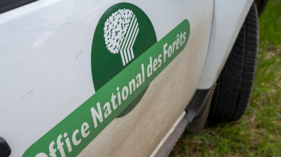 L'ONF aux aguets en Charente-Maritime: "Un m&eacute;got et &ccedil;a part &agrave; vitesse grand V"