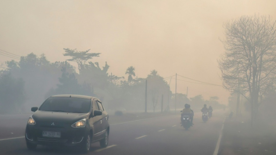 L'Indon&eacute;sie va d&eacute;ployer des centaines de soldats pour lutter contre les incendies &agrave; Born&eacute;o