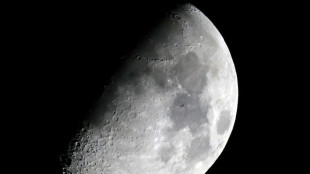 Deutschland unterzeichnet Artemis Accords f&uuml;r Kooperation im Weltraum