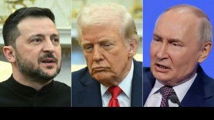 Putin não participará de diálogos com Ucrânia na Turquia
