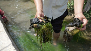 Vast reserves, but little to drink: Tajikistan's water struggles