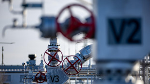 Il gas apre in lieve rialzo sopra i 32 euro al Ttf di Amsterdam