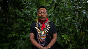 Amazon activist warns of 'critical situation' ahead of UN forum
