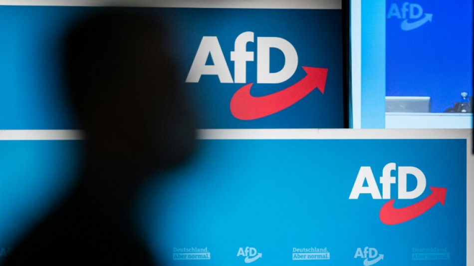 AfD nominiert Werteunion-Chef Otte f&uuml;r Bundespr&auml;sidenten-Amt