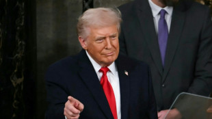 Rede an die Nation: Trump bescheinigt sich Erfolge - Demokraten kritisieren "Chaos"