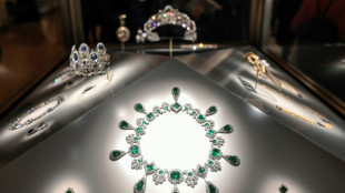 Roubo no Louvre deixou 'mais de 150' amostras de DNA, diz promotora de Paris