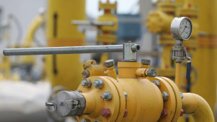 Il gas in rialzo (+2%) a 73,4 euro al Megawattora