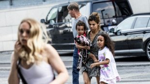 Copenhagen shooting suspect&nbsp;had mental health issues: police