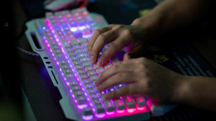 Arrestation en Ukraine du chef d'un c&eacute;l&egrave;bre gang de pirates informatiques