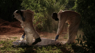 Sube a m&aacute;s de 400 el n&uacute;mero de muertos por inanici&oacute;n en una secta evang&eacute;lica de Kenia