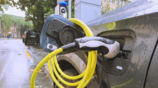 Big dell'elettrico Ue a Merz, 'no a dietrofront sul 2035'