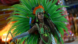 Le "grand jour" au carnaval de Rio, f&ecirc;te f&eacute;&eacute;rique et politique