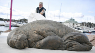Une sculpture repr&eacute;sentant un c&eacute;l&egrave;bre morse d&eacute;voil&eacute;e en Norv&egrave;ge