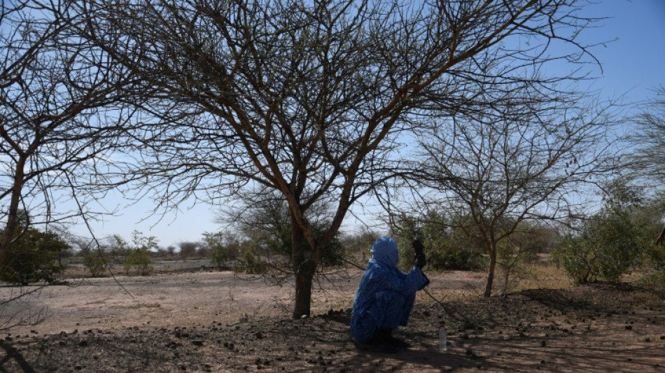 Comienza la COP15 contra la desertificación en Costa de Marfil