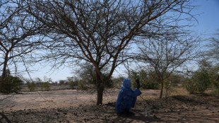 Comienza la COP15 contra la desertificación en Costa de Marfil