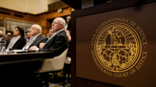 Le "g&eacute;nocide" commis par Isra&euml;l "a atteint un niveau horrible", d&eacute;nonce Pretoria devant la CIJ