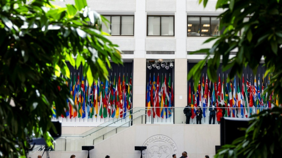 Una misi&oacute;n del FMI recomienda un desembolso de 1.000 millones de d&oacute;lares a Argentina