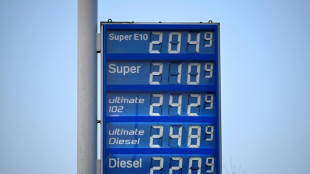 Reiche-Berater warnen vor politischem Aktionismus bei Spritpreisen