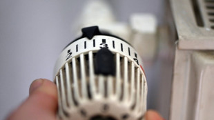 FDP kritisiert Entwurf zum Verbot neuer &Ouml;l- und Gasheizungen ab 2024