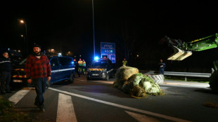 Mobilisation agricole: les appels &agrave; la "tr&ecirc;ve de No&euml;l" se multiplient