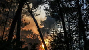 Un 14-Juillet de canicule, pr&egrave;s de 4.000 hectares br&ucirc;l&eacute;s en Gironde