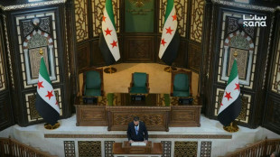 Parlamento s&iacute;rio realiza primeira sess&atilde;o ap&oacute;s derrubada de Assad