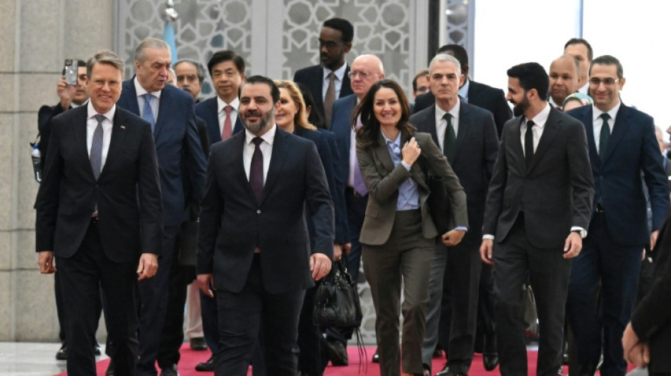 Erstmals Delegation des UN-Sicherheitsrats in Syrien  - Hilfe zugesagt