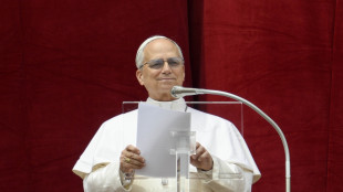 Papa Leone XIV, 'mai pi&ugrave; la guerra'