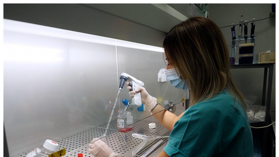 Alternativa alla terapia Car-T da cellule immunitarie modificate