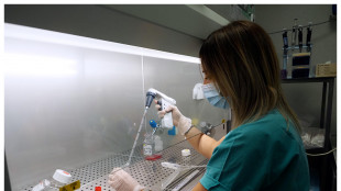 Individuata una proteina che accelera il metabolismo dei grassi